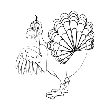Funny Thanksgiving Turkey bird cartoon character stroke vector illustration