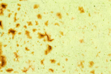 Surface of thin flat unleavened breads with spinach, top view