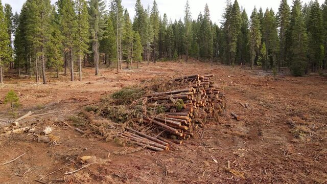 Aerial shot of a section of forest that has been cut down for lumber