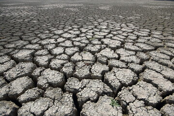 severe drought caused the lake to recede and cracks