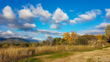 Obraz premium road or path through the countryside