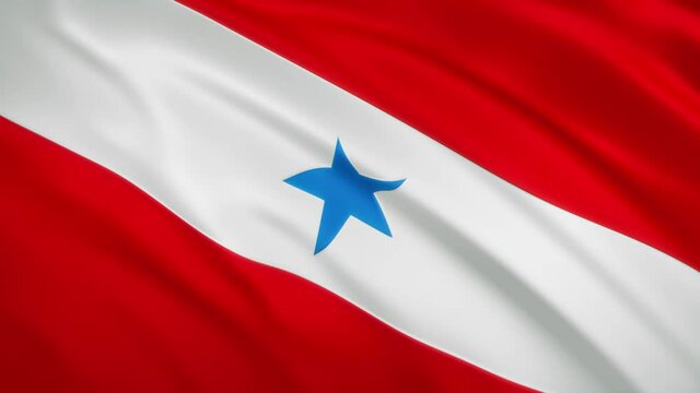 Para - Waving Flag Video Background - Brazil State