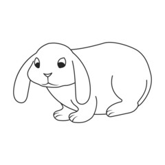 Rabbit vector icon.Outline vector icon isolated on white background rabbit.