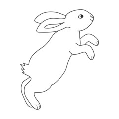 Rabbit vector icon.Outline vector icon isolated on white background rabbit.