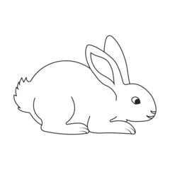 Fototapeta na wymiar Rabbit vector icon.Outline vector icon isolated on white background rabbit.