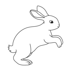 Rabbit vector icon.Outline vector icon isolated on white background rabbit.