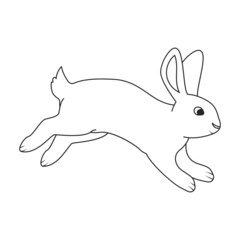 Rabbit vector icon.Outline vector icon isolated on white background rabbit.