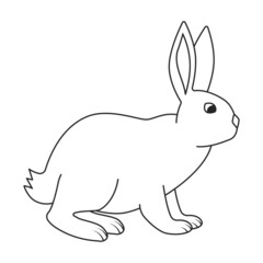 Rabbit vector icon.Outline vector icon isolated on white background rabbit.