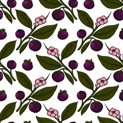 Mangosteen tropical fruit seamless pattern. Fresh organic food. Vector illustration with sketch.