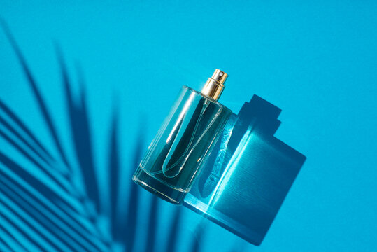 Transparent bottle of perfume on a blue background. Fragrance presentation with daylight. Trending concept in natural materials with palm leaves shadow. Women's and men's essence.