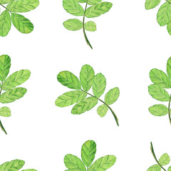Fototapeta na wymiar Aquarelle seamless pattern of green leaf rose hip on white background. Watercolor hand drawing illustration. Perfect for textile, digital paper.