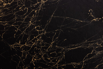 abstract art photography black background painting with gold veins texture