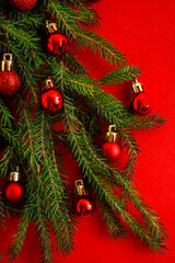 Christmas green background. Pine branches, needles and Christmas trees. View from above. Round frame with place for text. Christmas nature background. December mood concept. Copy space