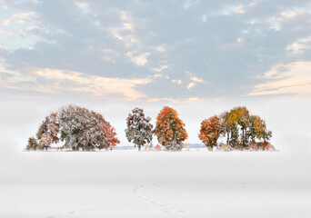 Fototapete bei efototapeten.de bestellen   