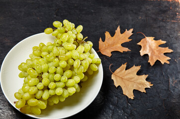 Branch of ripe grape on plate with water drops. Juicy grapes on wooden background, closeup. Grapes...
