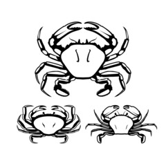 Crab Seafood Set Vector Design 