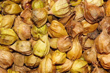 Palpotan fruits on white background with selective focus