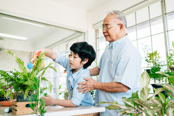 An Asian retired grandfather and his grandson spend quality time together at home. Enjoy taking care by watering plants. The family bond between children and adults