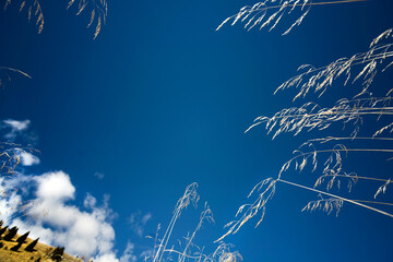 Sunny day on dolomites,  autumn and foliage