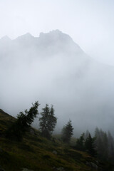 foggy day on dolomites,  trees and peaks