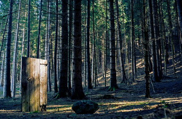Playing with an old door in the forest