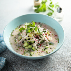 Traditional homemade cold soup with cucumber and radish	