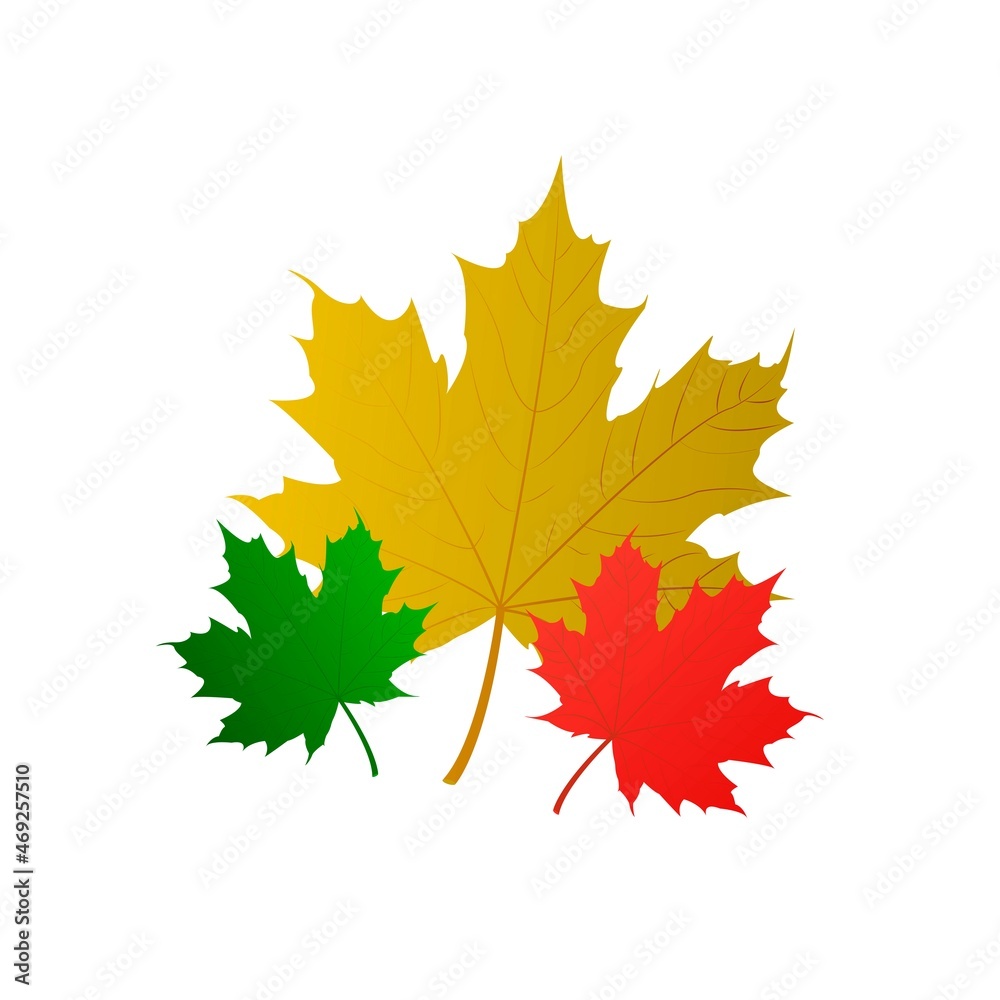 Wall mural autumn leaves. set of vector maple leaves in different colors and sizes.