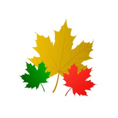 Autumn leaves. Set of vector maple leaves in different colors and sizes.