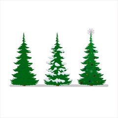 Set of realistic vector illustrations of green Christmas tree isolated on white background.