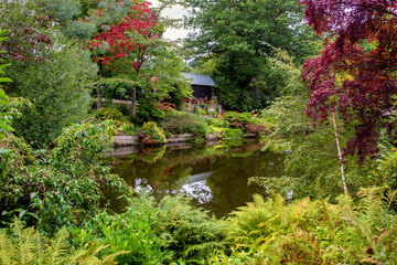 Formal garden with trees reflected in a pond.  In The Dingle, Part of The Quarry in Shrewsbury, Shropshire