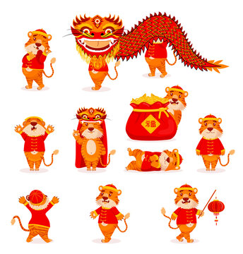 Set of red Chinese tigers in New Year's costumes with lanterns and dragons in cartoon style. Symbol 2022