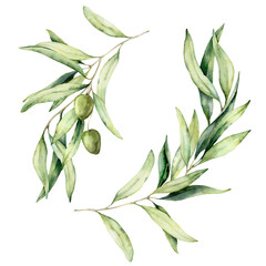 Watercolor set of olive branches, leaves and berries. Hand painted nature elements isolated on white background. Plants illustration for design, print, fabric or background. - 469262533