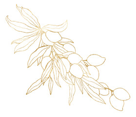 Watercolor card of gold olives, branches and leaves. Hand painted line art nature composition isolated on white background. Plants illustration for design, print, fabric or background.