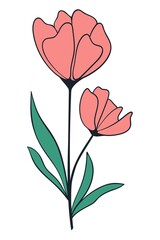 Beautiful isolated flower line art, vector illustration. Botanical decoration, hand drawing. Natural floral element, element for design.