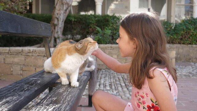 Cute kid girl pats strokes a homeless disabled cat without one paw in Paphos Cyprus