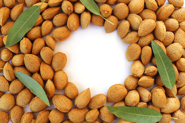 Fresh harvested almonds in a nutshell with green leaves on them and white round empty space in the middle.