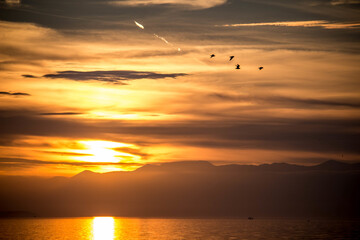 Fototapeta premium sunset over the sea