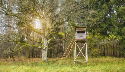 Wooden deer and wild boar hunting tower in forest.