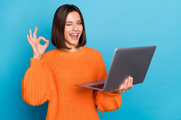 Portrait of attractive cheerful skilled girl using laptop showing ok-sign winking isolated over...