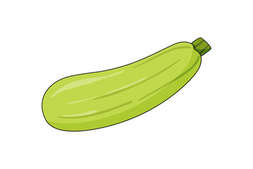 Zucchini vector illustration drawn in cartoon style and isolated on white background