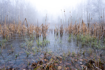 The lake is gradually freezing. The first autumn frosts.