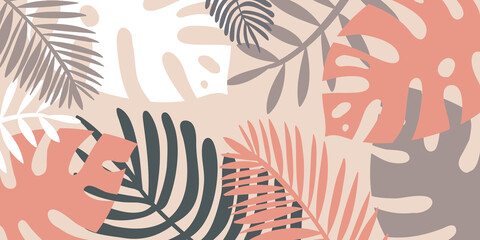 Fototapeta na wymiar Tropical background, monstera palm leaf leaflet. Composition of pink gray tropical leaves