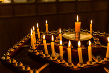 ニュージーランド　ネルソンの市街地にあるクライストチャーチ大聖堂の聖堂内