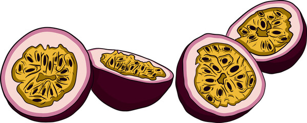 Vector hand drawn set of passion fruits. Passion fruit illustration. Delicious tropical vegetarian objects. Use for restaurant, menu, smoothie bowl, market, store, party decoration, meal
