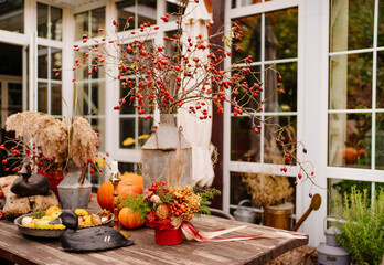 table in the backyard of the house decorated in autumn style. 