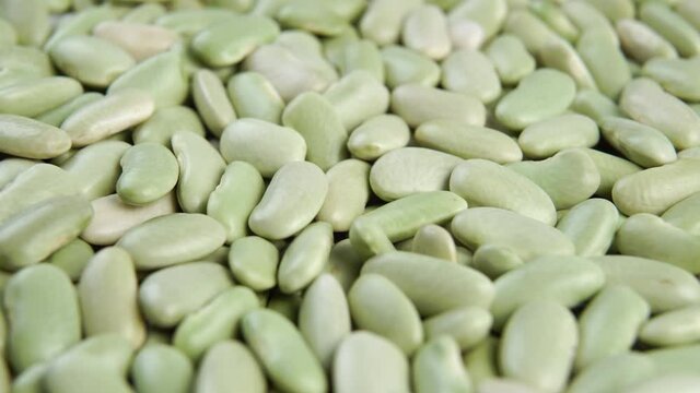 Alubia verdina green beans. Macro. Slow rotation. Dry traditional spanish legumes. Asturian cuisine