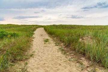 Fototapeta na wymiar A sandy path among the grass leading to the seashore.