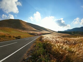 Autumn, road to the mountain of Japanese pampas grass