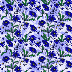 Daisies seamless pattern. Vector stock illustration eps10.
