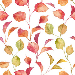 Square seamless pattern with realistic autumn leaves on twigs. Hand painted watercolor plants. Ivy  red and golden branches. Wallpapers and wrapping paper design